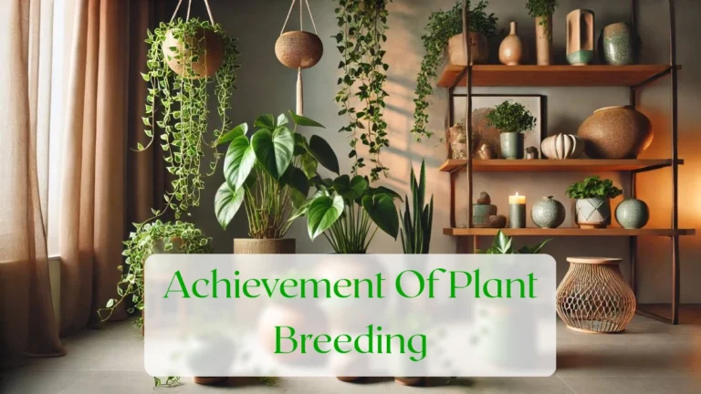 Achievement Of Plant Breeding - Blog Featured Image