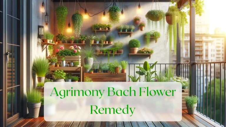 Agrimony Bach Flower Remedy - Blog Featured Image