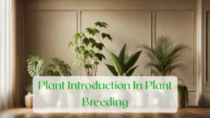 Plant Introduction In Plant Breeding - Blog Featured Image