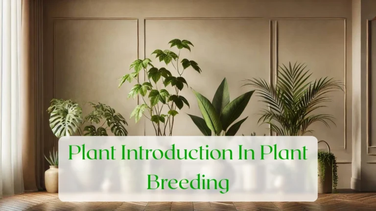 Plant Introduction In Plant Breeding - Blog Featured Image