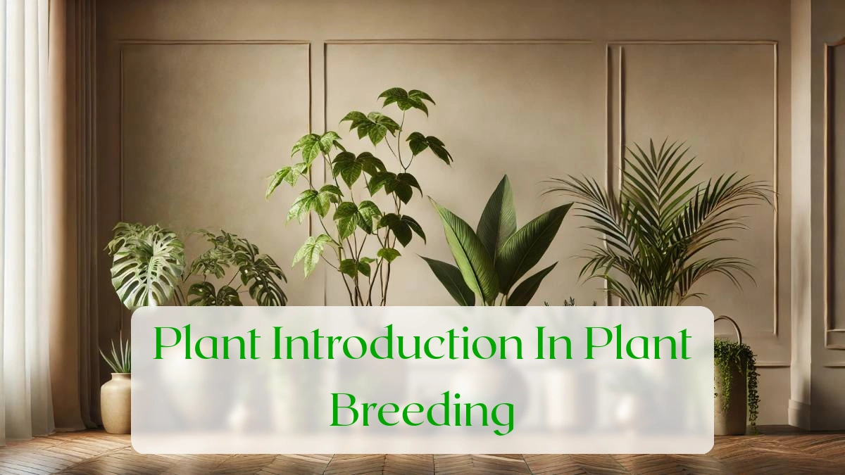 Plant Introduction In Plant Breeding - Blog Featured Image