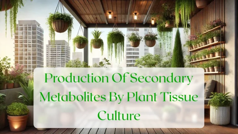 Production Of Secondary Metabolites By Plant Tissue Culture - Blog Featured Image
