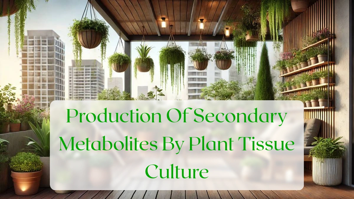 Production Of Secondary Metabolites By Plant Tissue Culture - Blog Featured Image