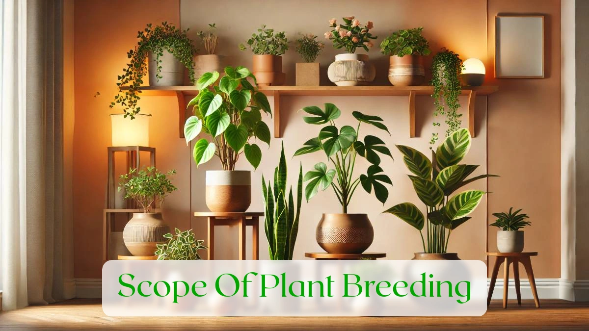 Scope Of Plant Breeding - Blog Featured Image