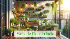 Avocado Plant In India - Blog Featured Image