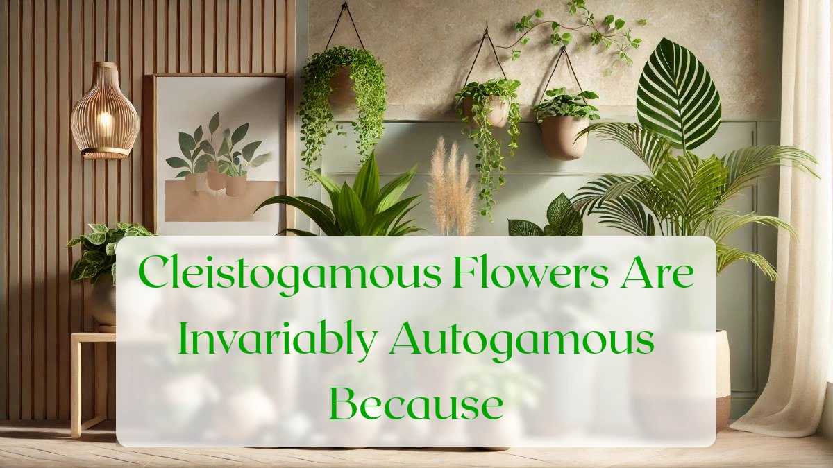Cleistogamous Flowers Are Invariably Autogamous Because - Blog Featured Image
