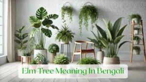 Elm Tree Meaning In Bengali - Blog Featured Image
