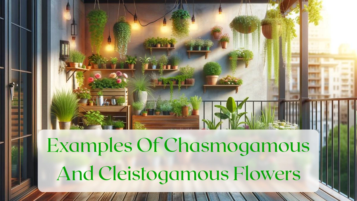 Examples Of Chasmogamous And Cleistogamous Flowers - Blog Featured Image
