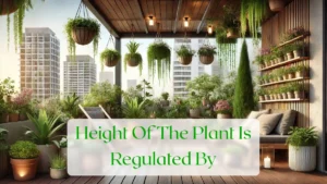Height Of The Plant Is Regulated By - Blog Featured Image