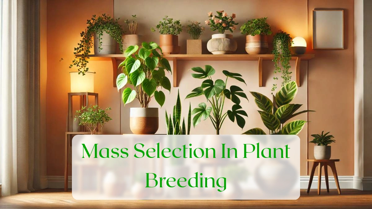Mass Selection In Plant Breeding - Blog Featured Image