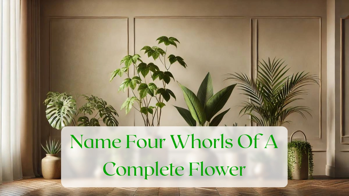 Name Four Whorls Of A Complete Flower - Blog Featured Image