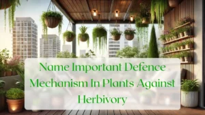 Name Important Defence Mechanism In Plants Against Herbivory - Blog Featured Image