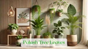 Palash Tree Leaves - Blog Featured Image
