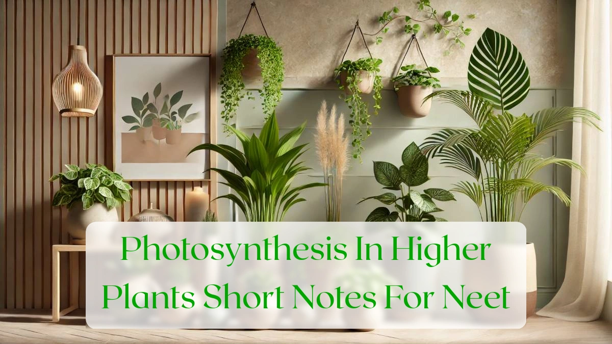 Photosynthesis In Higher Plants Short Notes For Neet - Blog Featured Image