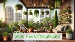 State Tree Of Meghalaya - Blog Featured Image