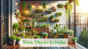Toxic Plants In India - Blog Featured Image