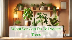 What We Can Do To Protect Trees - Blog Featured Image