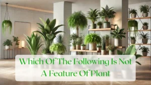 Which Of The Following Is Not A Feature Of Plant - Blog Featured Image