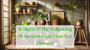 Which Of The Following Statements Are True For Flowers - Blog Featured Image