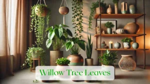 Willow Tree Leaves - Blog Featured Image