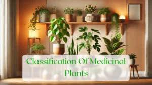 Classification Of Medicinal Plants - Blog Featured Image