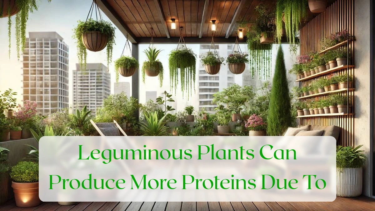 Leguminous Plants Can Produce More Proteins Due To - Blog Featured Image
