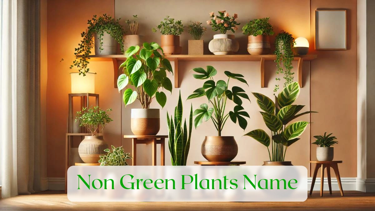 Non Green Plants Name - Blog Featured Image