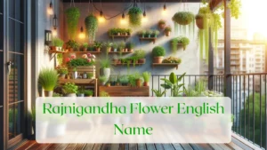 Rajnigandha Flower English Name - Blog Featured Image
