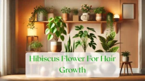 Hibiscus Flower For Hair Growth - Blog Featured Image