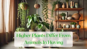 Higher Plants Differ From Animals In Having - Blog Featured Image