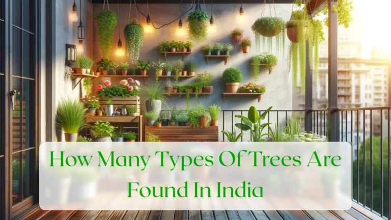 How Many Types Of Trees Are Found In India - Blog Featured Image