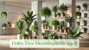 Palm Tree Meaning In Bengali - Blog Featured Image