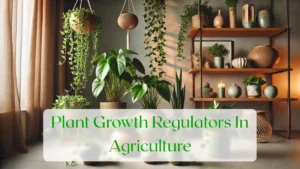 Plant Growth Regulators In Agriculture - Blog Featured Image