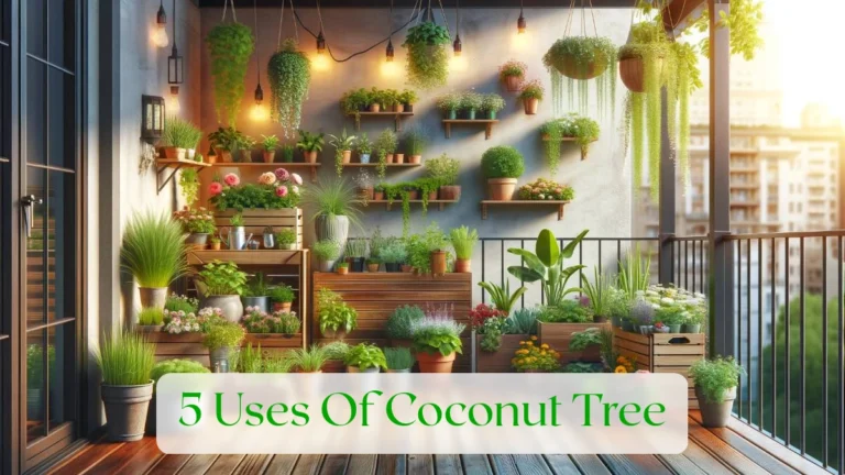 5 Uses Of Coconut Tree - Blog Featured Image
