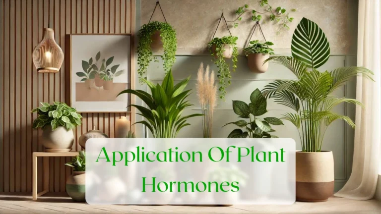 Application Of Plant Hormones - Blog Featured Image