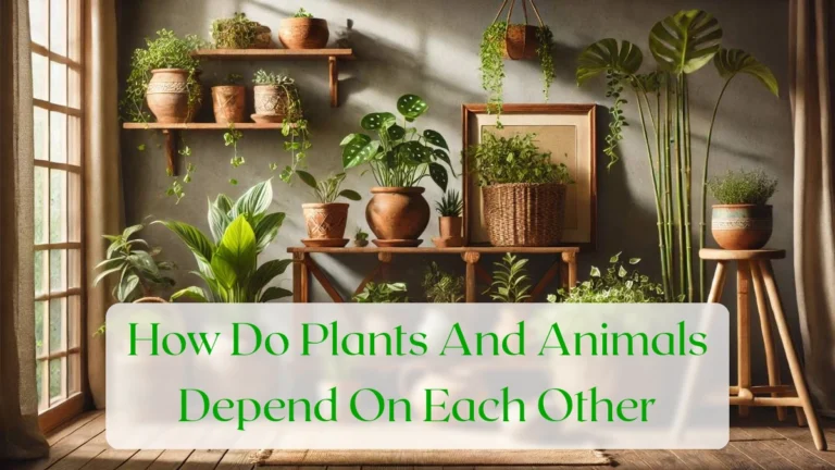 How Do Plants And Animals Depend On Each Other - Blog Featured Image