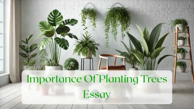 Importance Of Planting Trees Essay - Blog Featured Image