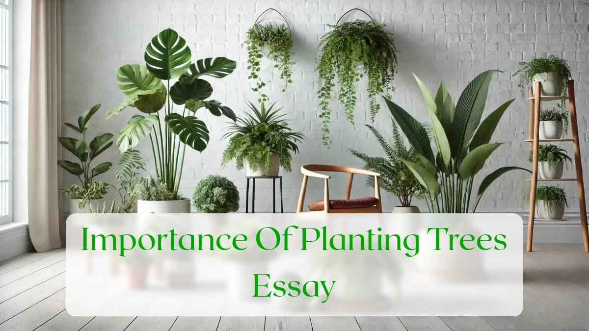 Importance Of Planting Trees Essay - Blog Featured Image