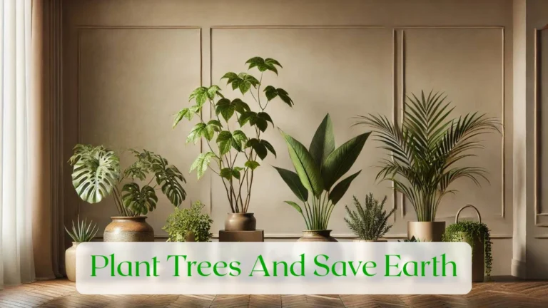 Plant Trees And Save Earth - Blog Featured Image