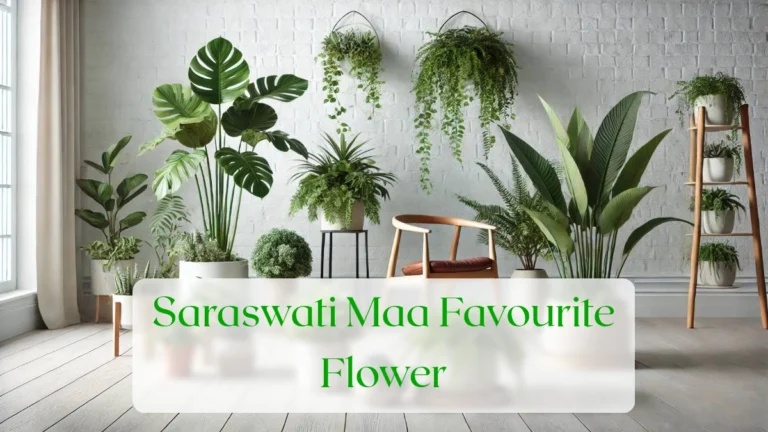 Saraswati Maa Favourite Flower - Blog Featured Image