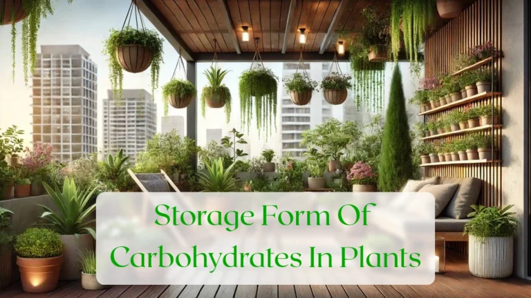 Storage Form Of Carbohydrates In Plants - Blog Featured Image