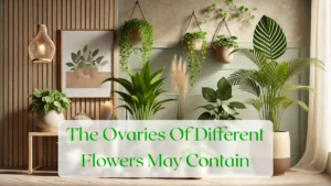The Ovaries Of Different Flowers May Contain - Blog Featured Image