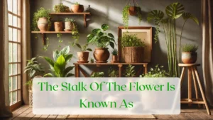 The Stalk Of The Flower Is Known As - Blog Featured Image