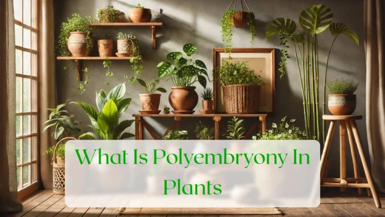 What Is Polyembryony In Plants - Blog Featured Image
